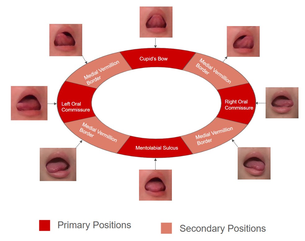 Diagram of the spatial position definition for Tonguage