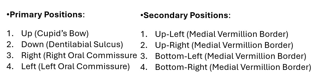 Diagram showing 8 distinct regions for Tonguage