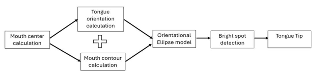 Diagram of the Tongue Tip Detection Processing Pipeline