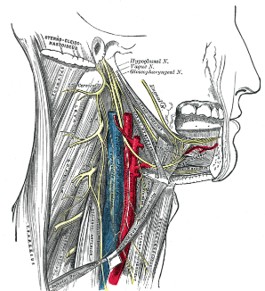 Example of a specific tongue gesture for Tonguage