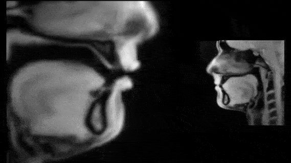 Demonstration of Tonguage tongue movement